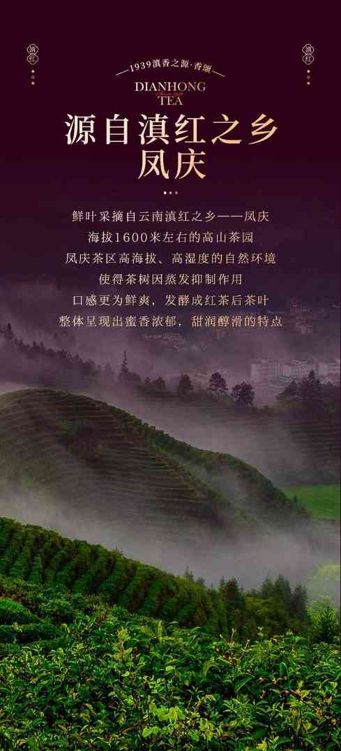 七彩云南®新品上市  便携口粮滇红茶，时刻蜜甜滋养