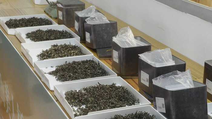 第二届“江山美人杯”两岸美人茶民间斗茶赛结果出炉