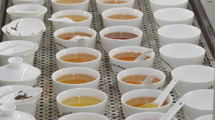 第二届“江山美人杯”两岸美人茶民间斗茶赛结果出炉