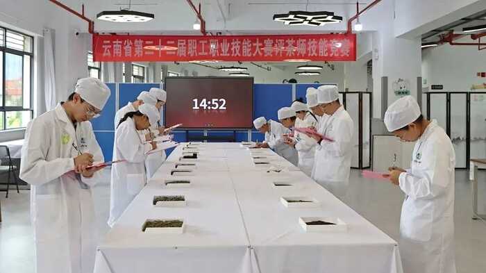下关沱茶集团公司施磊在“云南省第二十二届职工职业技能大赛”评茶师技能竞赛中斩获佳绩！