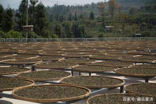 普洱茶知名品牌，到底好在哪里？我为什么不推荐小厂茶