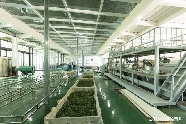 普洱茶知名品牌，到底好在哪里？我为什么不推荐小厂茶