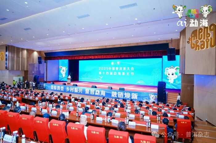 茶乡勐海喜迎八方宾客：刘仲华院士解码新质生产力