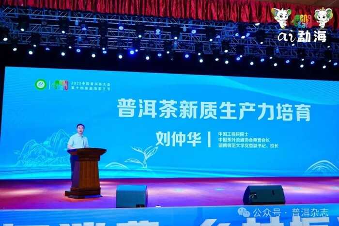 茶乡勐海喜迎八方宾客：刘仲华院士解码新质生产力