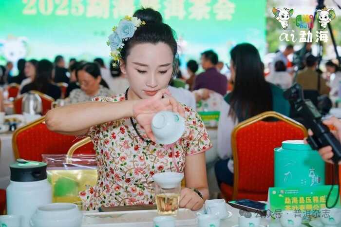 茶乡勐海喜迎八方宾客：刘仲华院士解码新质生产力