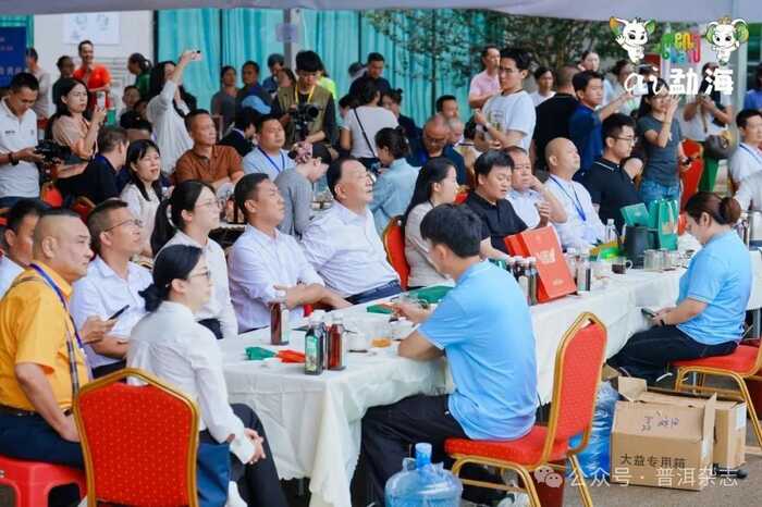 茶乡勐海喜迎八方宾客：刘仲华院士解码新质生产力