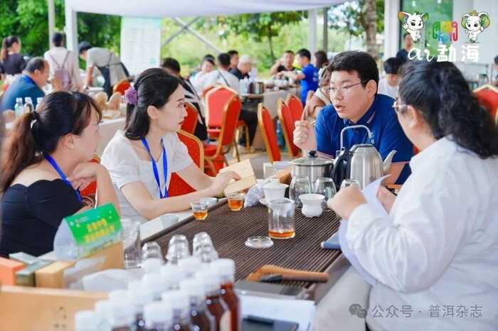 茶乡勐海喜迎八方宾客：刘仲华院士解码新质生产力