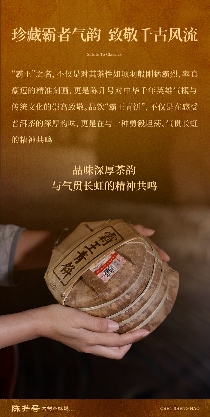 茶中真霸·厚韵贯虹 陈升号2025年“霸王青饼”面市