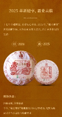 茶中真霸·厚韵贯虹 陈升号2025年“霸王青饼”面市