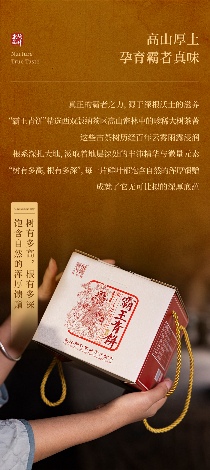 茶中真霸·厚韵贯虹 陈升号2025年“霸王青饼”面市