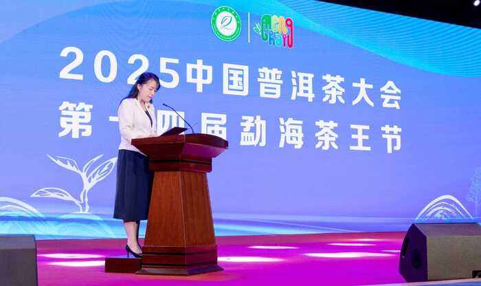 陈升茶业荣获“乡村振兴龙头企业”，陈升河董事长荣膺“勐海荣誉市民”