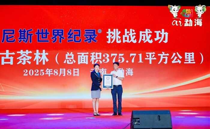 陈升茶业荣获“乡村振兴龙头企业”，陈升河董事长荣膺“勐海荣誉市民”