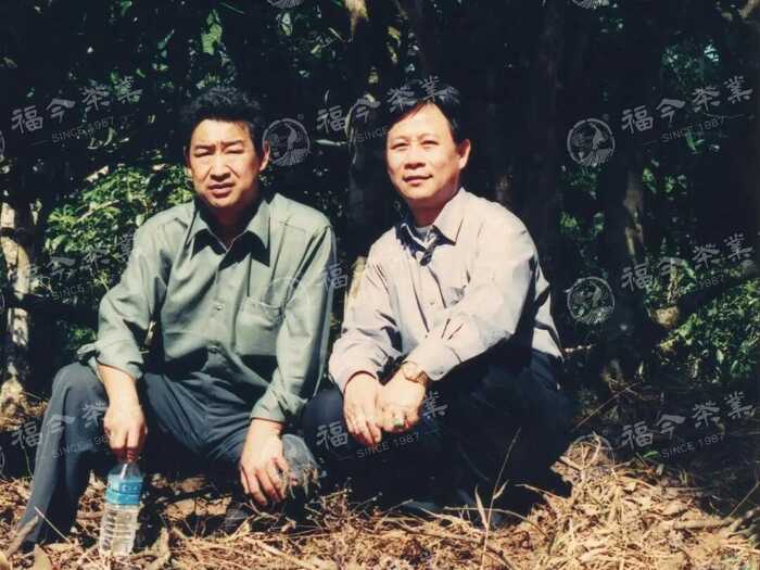 班章“孔雀”是怎么诞生的？这只“孔雀”从哪里来？