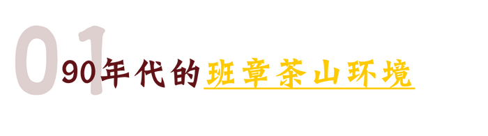 班章“孔雀”是怎么诞生的？这只“孔雀”从哪里来？