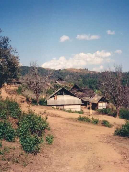 班章“孔雀”是怎么诞生的？这只“孔雀”从哪里来？