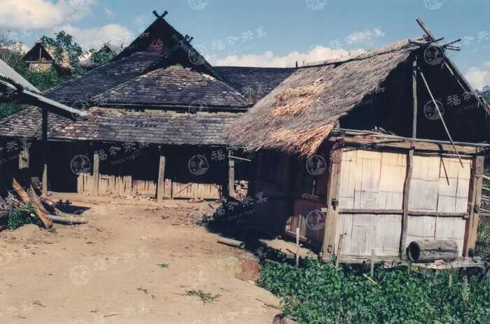 班章“孔雀”是怎么诞生的？这只“孔雀”从哪里来？