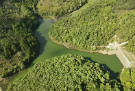 从守“一片叶”到护得“金山银山”——澜沧县富邦乡推动茶产业发展