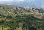 从守“一片叶”到护得“金山银山”——澜沧县富邦乡推动茶产业发展