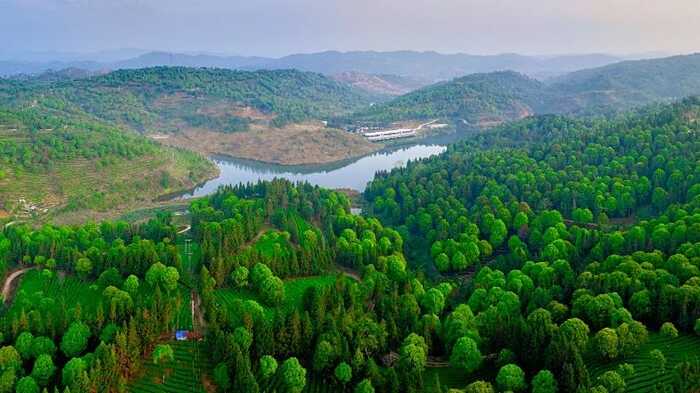 昆明七彩云南®庆沣祥®茶业股份有限公司荣获2025年【助力乡村振兴龙头企业 】称号