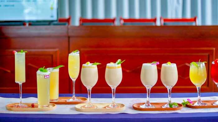 标准化普及与加工工艺升级培训助力景迈山茶产业高质量发展