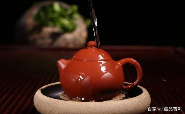 普洱老生茶应该怎么冲泡？行家分享冲泡要点，第3点很重要