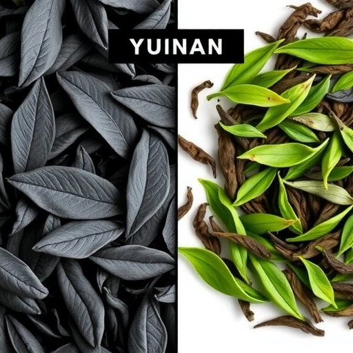 云南红茶和福建红茶有什么不同