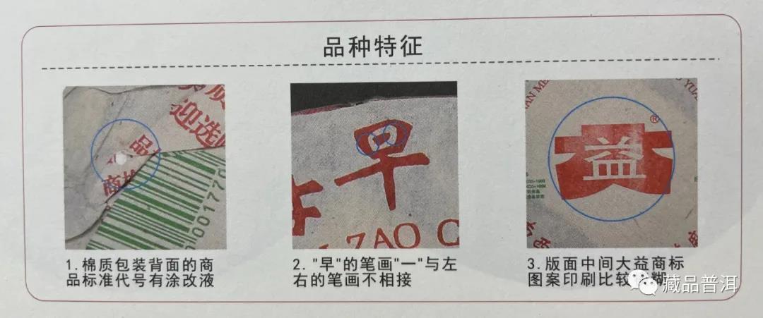 大益301批早春乔木青饼，藏茶圈里的明星“小白菜”，潜力可期