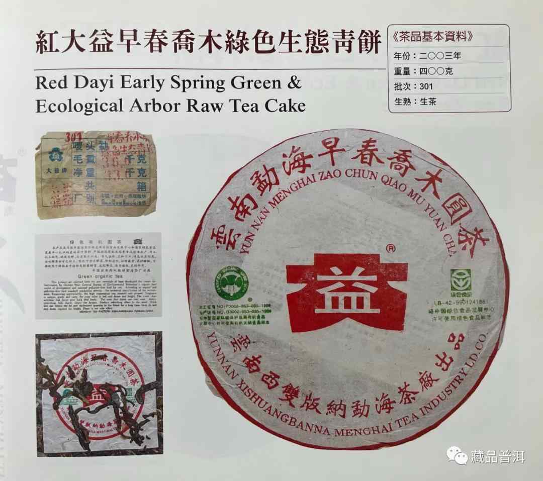 大益301批早春乔木青饼，藏茶圈里的明星“小白菜”，潜力可期