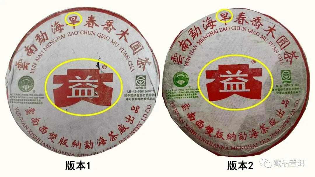 大益301批早春乔木青饼，藏茶圈里的明星“小白菜”，潜力可期