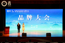 构筑茶业新生态：中国茶业经济年会的高质量发展之路