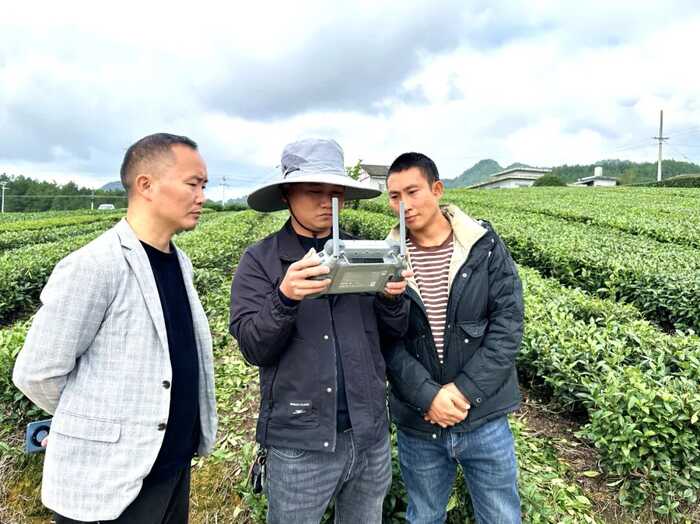 湄潭复兴镇：无人机助力茶园秋冬管护