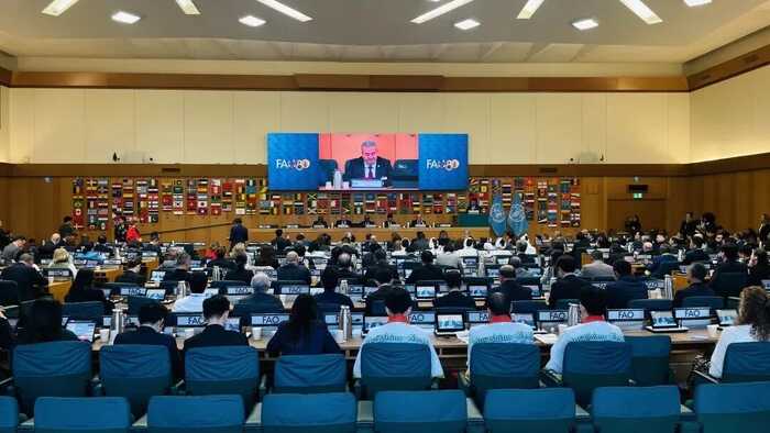 从福鼎走向罗马：白茶类世界唯一GIAHS福鼎白茶香飘国际