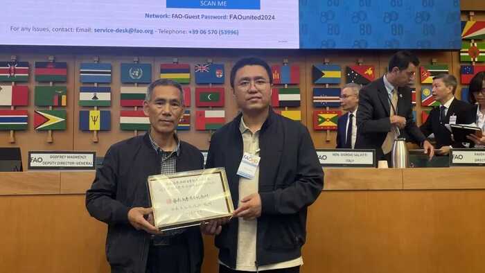 从福鼎走向罗马：白茶类世界唯一GIAHS福鼎白茶香飘国际