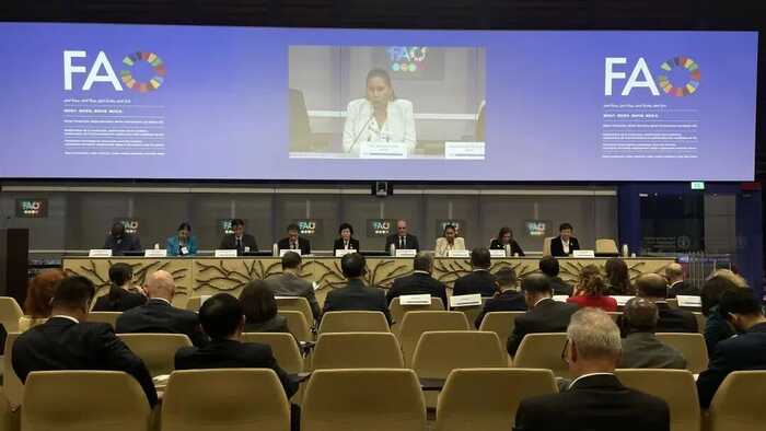 从福鼎走向罗马：白茶类世界唯一GIAHS福鼎白茶香飘国际