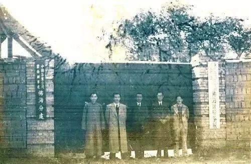 红印圆茶，普洱茶界的超级明星！收藏界的瑰宝！走进它的历史