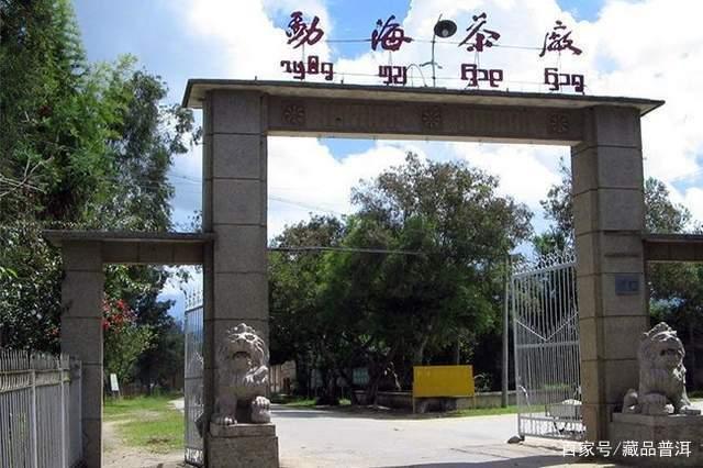 96紫大益青饼如何辨真伪？行家专业解读这5大辨认细节，建议收藏