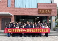 2025泰顺县茶产业提升和品牌营销培训班顺利举办