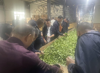 2025泰顺县茶产业提升和品牌营销培训班顺利举办