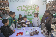 茉莉茶香飘天山，“福州·昌吉茉莉花茶文化行”在新疆昌吉启动