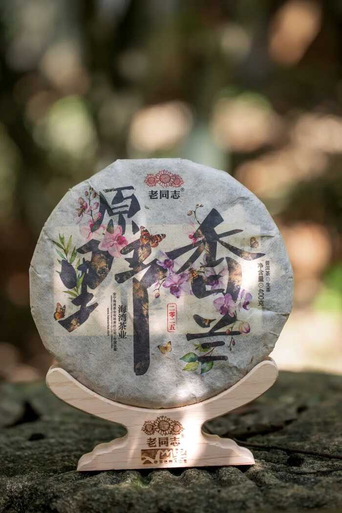 老同志原野香兰700饼钜惠宣发：石缝里长出的兰香