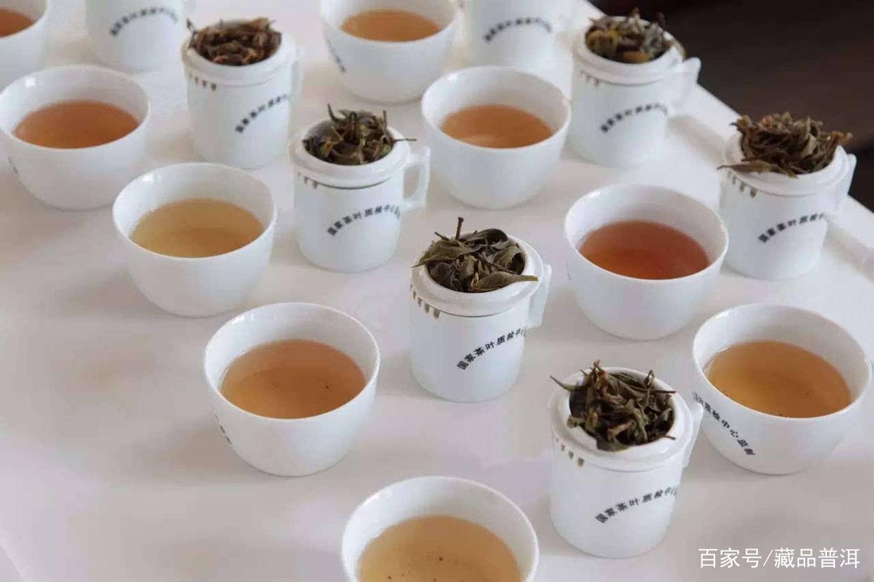普洱茶仓储差异与陈化考量：如何辨别存放环境好坏