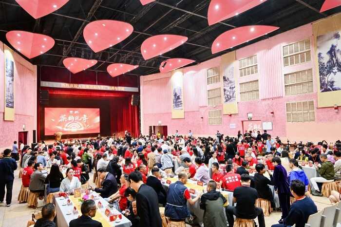 以茶为脉、以心为舵 勐海茶厂85周年，大益孔雀生态茶耀世