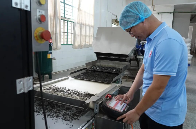 全国首台普洱茶拣剔机器人在云南成熟应用