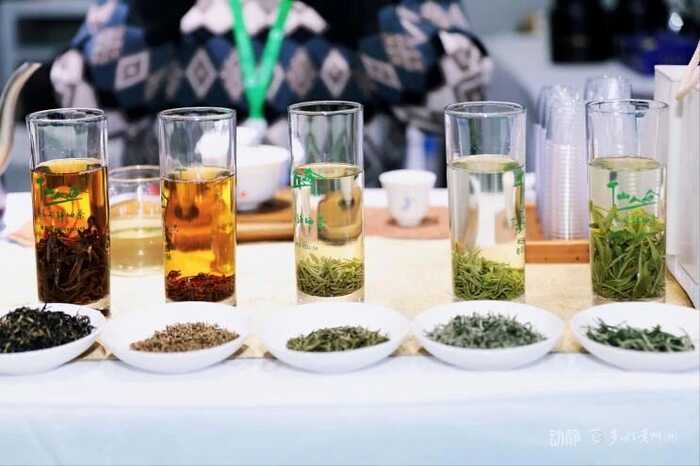 黔茶香润长安城！30家贵州茶企携干净佳茗拓展西北市场