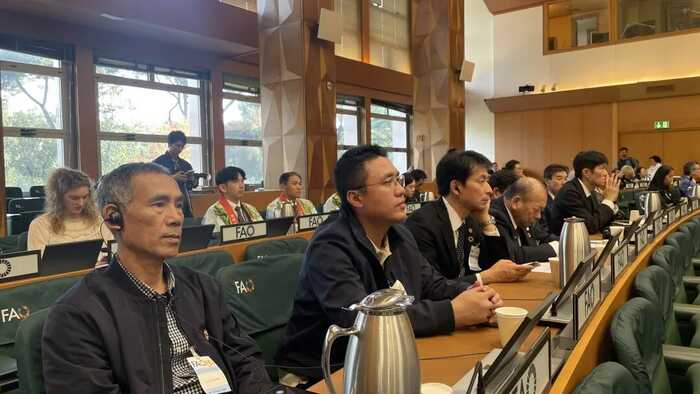 福鼎白茶文化系统获联合国正式授牌，全球首张白茶类世界级“金名片”