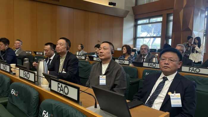 福鼎白茶文化系统获联合国正式授牌，全球首张白茶类世界级“金名片”