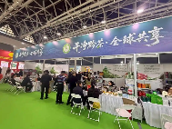 黔茶北上 香润西安 贵州绿茶北上西安 拓展西北市场