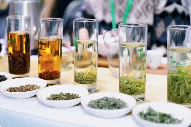 黔茶北上 香润西安 贵州绿茶北上西安 拓展西北市场