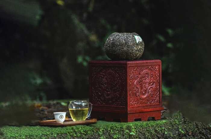 新品上市  中茶九龙贡茶 普洱茶（生茶）紧压茶