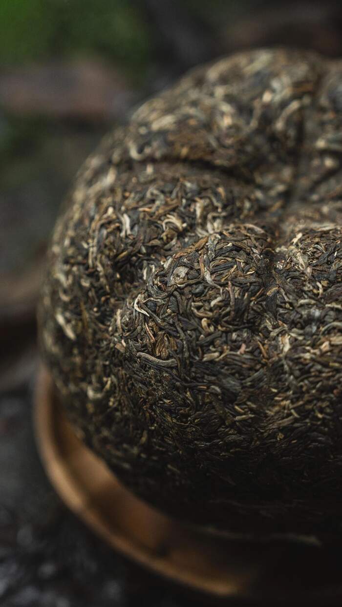 新品上市  中茶九龙贡茶 普洱茶（生茶）紧压茶